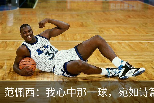 范佩西：我心中那一球，宛如诗篇